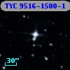 TYC 9516-1500-1