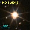 HD 116042