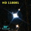 HD 118081