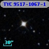 TYC 9517-1067-1