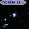 TYC 9516-13-1