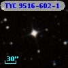 TYC 9516-602-1