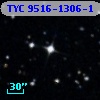 TYC 9516-1306-1