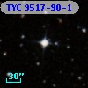 TYC 9517-90-1