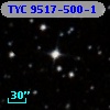 TYC 9517-500-1