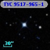 TYC 9517-965-1
