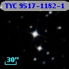 TYC 9517-1182-1