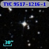 TYC 9517-1216-1