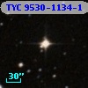TYC 9530-1134-1