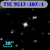 TYC 9517-107-1