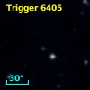 Trigger  6405