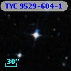 TYC 9529-604-1