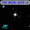 TYC 9529-1177-1