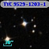 TYC 9529-1203-1