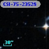 CSI-75-23528