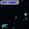 NSV 14605
