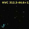 HVC 312.3-44.6+124