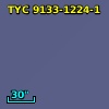 TYC 9133-1224-1