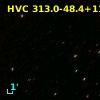 HVC 313.0-48.4+116