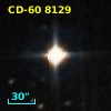 CD-60  8129