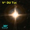V* DU Tuc