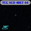 TCG ACO  4067  44