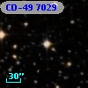 CD-49  7029