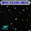 IRAS 12219-4923