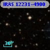 IRAS 12231-4900