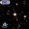 TYC 8239-251-1