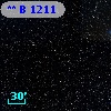 **   B  1211