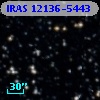 IRAS 12136-5443