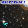 IRAS 12273-5616
