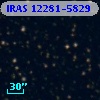 IRAS 12281-5829