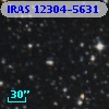 IRAS 12304-5631