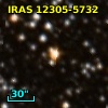 IRAS 12305-5732