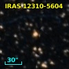 IRAS 12310-5604