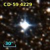 CD-59  4229