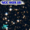 NGC  4439    19