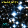 CD-59  4262