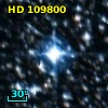 HD 109800
