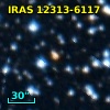 IRAS 12313-6117