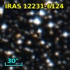 IRAS 12231-6124