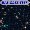 IRAS 12273-5957