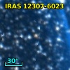 IRAS 12307-6023