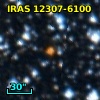 IRAS 12307-6100