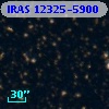 IRAS 12325-5900
