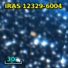 IRAS 12329-6004
