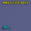 IRAS 12335-6021