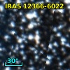 IRAS 12366-6022